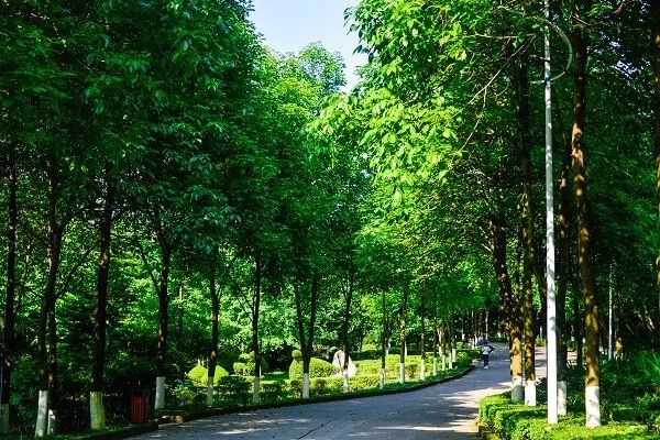泰州好的古筝学习班_泰州学古筝哪里好_泰州古筝培训班