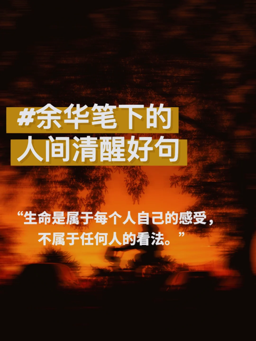 信者无敌什么时候上映_信者无敌有几部曲_者无敌系列电视剧一共有多少