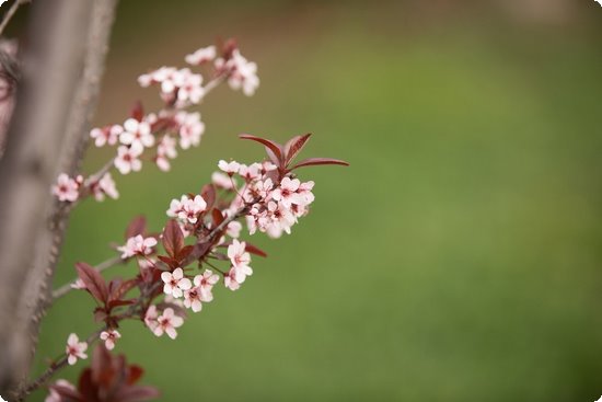飞车闯关的模式叫什么_飞车闯关关模式怎么过_天天飞车闯关模式47关